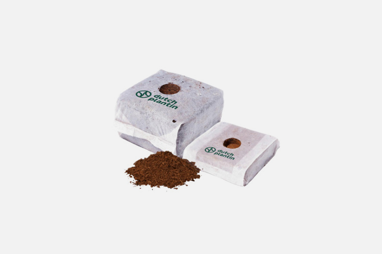 0.3 Gallon starter cube