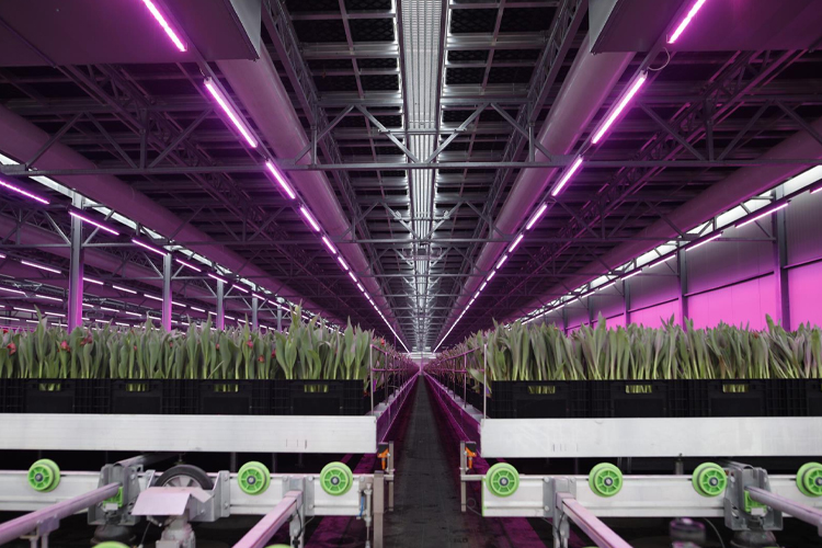 KG Systems Multi-Tier