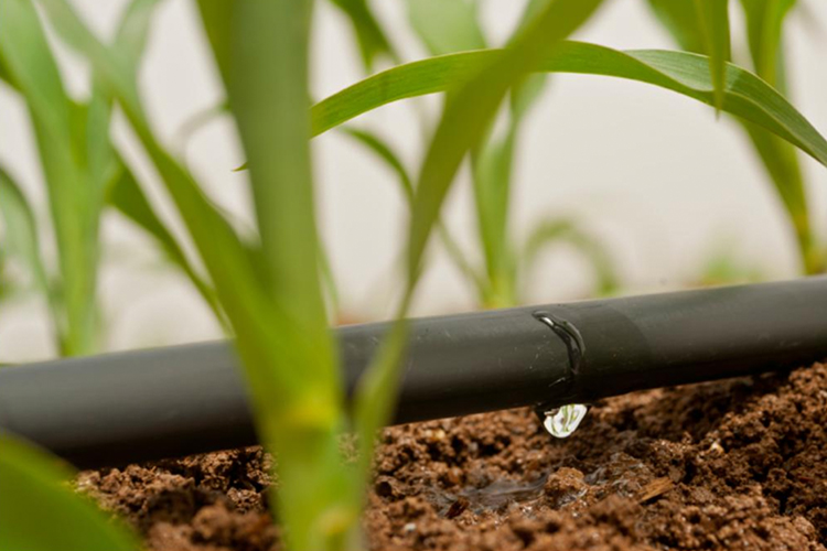 Rivulis Drip Line