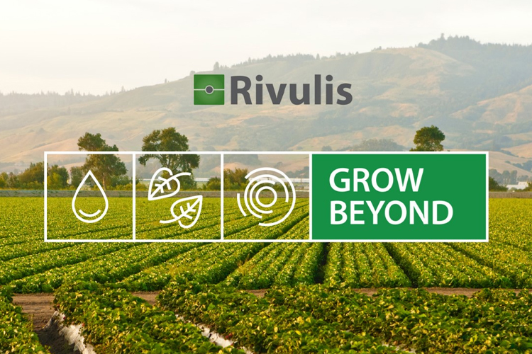 Rivulis