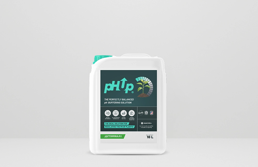 pH Up 10L