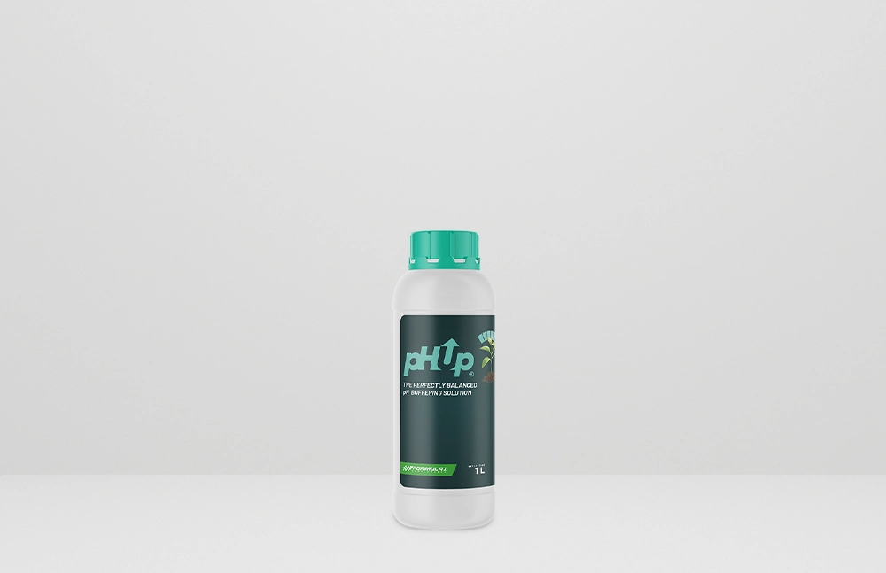 pH Up 1L